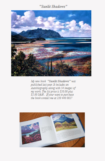 Sunlit Shadows book open showing landscape paintings